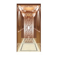 Elevators Cabin Passenger Elevator 450kg Capacity Elevator